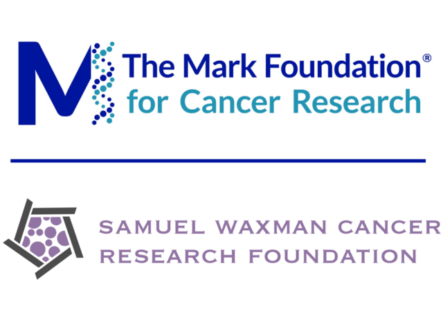 Samuel Waxman Cancer Research Foundation Collaborating For A Cure