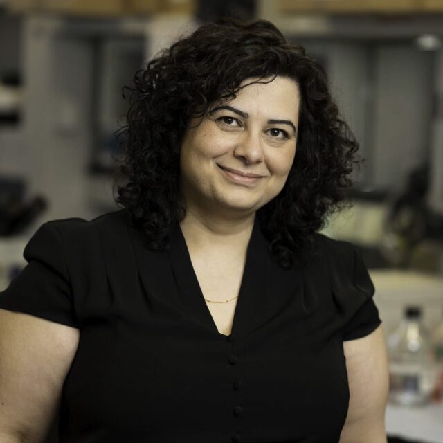 Duaa Al-Rawi, MD, PhD